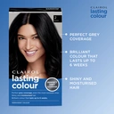 Clairol Lasting Colour Permanent Colour Hair Dye 2 Black 1 Pack image 1