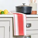 Dexam Tea Towel Love Colour Striped 100% Cotton Scarlet Red 45x70cm image 1