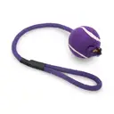 Petface Tennis Ball on a Rope Dog Toy with Handle for Fetch & Tug Games image 5