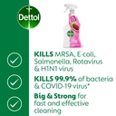 Dettol MultiPurpose Antibacterial  Cleaning Spray, Pomegranate, 1l image 3