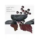 Hermes Eau des Merveilles Bleue Eau de Toilette 30ml image 2