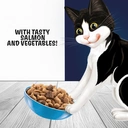 Felix Doubly Delicious Salmon & Veg Dry Cat Food 2kg image 3
