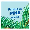 Duck Deep Action Toilet Cleaner Gel, Pine, 750ml image 4