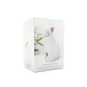 STYLPRO 4-in-1 Facial Steamer, 4-in-1 Ionic Steam, Face Mist for Luxury Home Spa, Unclogs Pores, Towel Warmer & Humidifier, Perfect Gift, Rose Gold image 7