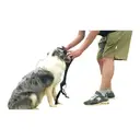 Halti COA Link Black image 3