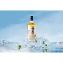 Meijian Green Plum Liqueur Original 750ml image 1