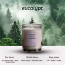 Zooly Bougie parfumée Amber Time - Eucalyptus (gris clair), 100 g, 1 pièce image 1