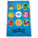 WT&T Plaid Sherpa 100x150 cm Pokémon Pokédex Kanto image 0