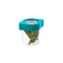 My Living World Bug Safari image 3