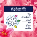 Comfort Creations Strawberry & Lily Fabric Conditioner 30 Washes 900ml image 3