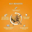 Dr John Gold with Chicken, Vegetables & Gravy 15kg image 2