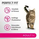 PERFECT FIT™ Adult Trockenfutter für erwachsene Katzen ab 1 Jahr - Lachs, 750g (6 Beutel) image 2