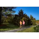 Garmin Forerunner 55 - zwart - sporthorloge met bandje image 6