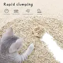 Cococat tofu cat litters -2 *2.5kg image 3