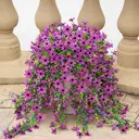 4Pcs 28.7in/72.8cm
Artificial Hanging Flowers for Outdoors Fake Plants Decoration,Faux Silk Colorful Daisy Eucalyptus Realistic for Outside Home Planter Porch Patio Yard Decor(purple) image 2