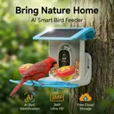 Blinkit Bird Villa Outdoor Bird Feeder 1.2L - 4400mAh Battery, Cloud Smart AI Camera with LED Night Vision, Two-Way Audio, Full-Color Night Vision, Bird Recognition image 5