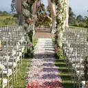 Yuejia Lot de 200 pétales de roses artificielles en soie - Rose pâle image 5