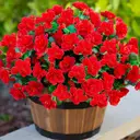 Yuejia Lot de 6 bouquets de fleurs artificielles en soie camélia rouge - 38 cm image 1