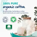 Lil-Lets 100 Cotton Wool Balls image 1