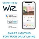 Philips Smart Light Bulb LED Candle Frosted Screw E14 Full Colour & Warm/Cool Spectrum 40W 2pcs image 10