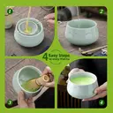 TEANAGOO Matcha Set (7 Pcs) with Bowl, Bamboo Whisk (Chasen), Scoop (Chashaku) and Holder, Celadon Blue, Green Tea Powder image 6