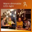 Philips Light Bulb LED Globe Frosted Screw E27 Warm White 100W Dimmable image 3