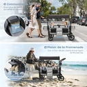 Sekey Poussette pour 2 enfants pliable avec toit, double poignée et siège double avec 2 systèmes de harnais à 5 points intégré - Gris image 1