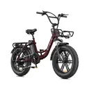 ENGWE L20 BOOST Foldable Electric Bikefat 250W  48V 13AH battery E-Mountain bike 20 Fat Tire ENGWE L20 BOOST（red） image 0