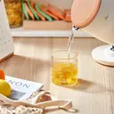 Bear 6 Temperature Settings with 1.7 L Stainless Steel Kettle White ZDH-C17V3, 1800-2200 W, Microprocessor Touch Panel, BPA-Free, Imported Temperature Controller, Boil Dry Protection, Automatic Shut-Off Electric,white image 9