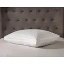 NightComfort Pillow Premium Box Edge Firm image 0