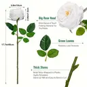 Yuejia 2Pcs 17.71in/45cmArtificial Austin Tea Rose Latex Simulation Flower Really Touch Wedding Banquet Family Party Garden Flowers Arrangement Decor(white) image 4