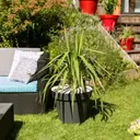 EDA Pot TOSCANE  Orange Terre Battue   Ø 48 cm
Dim. Ø 47,5 x 39 cm
Volume 43 L 
Garantie 7 ans France métropolitaine image 2