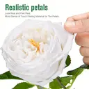 Yuejia 2Pcs 17.71in/45cmArtificial Austin Tea Rose Latex Simulation Flower Really Touch Wedding Banquet Family Party Garden Flowers Arrangement Decor(white) image 5