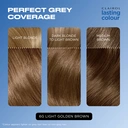 Clairol Lasting Permanent Colour Hair Dye 6G Light Golden Brown 1 Pack image 3