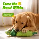 Blinkit Medium and Large Dog Bite Resistant Interactive Chewing Toy Natural Rubber Nylon Double Layer Structure Suitable for Fetch Training Outdoor Play NL01038 image 1
