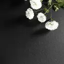 GRAVFORCE Cloud Series Canapé 2 places avec 2 ports de recharge et poche latérale, structure en bois et tissu, 143 cm - Noir image 2