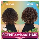 Herbal Essences Tropical Hydration Conditioner 275ml image 6