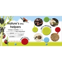 My Living World Bug Safari image 7