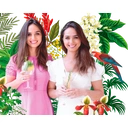 Double Dutch - 8 Can Discovery gift Pack - 8 X 150ml image 1