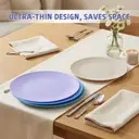 Home Use Compact & Portable 10-Inch Flat Dinner Plates, Set of 4, Plastic Material image 3