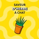 CATISFACTIONS Friandises Croquantes pour Chat Saveur Herbe à Chat (Sachet de 60g) image 3
