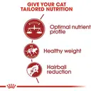 ROYAL CANIN Aliment Fit pour chats d'activité modérée 2-kg image 2