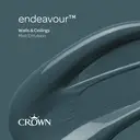 Crown Matt Emulsion Endeavour 2.5L image 7
