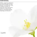 The Lab Co. Luxury Scented Candle | 20hrs Burn Time | Relaxing Fragrance with Cotton, Lavender and Jasmine | 100% Vegan Soy Wax | 90g wax weight image 7