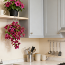 Yuejia 2Pcs 23.6in/60cmArtificial Fake Hanging Plants Flowers for Spring Decoration Outdoor Wedding Vine Plant Hibiscus Flowers Long Trailing Vines Realistic Plants for Front Door Porch image 3