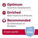 Beaphar Lactol Puppy Milk 250g image 2