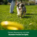 Earth Rated flyer - 18 x 3 x 18 cm image 5