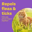 Bob Martin Clear Spot-On Flea & Tick Repellent Pipettes 3 x 0.9ml image 6