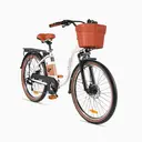DYU City Elektrische Fiets DYU C6 PRO 26-inch, Wit image 3