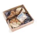 Teoni's Stem Ginger Oat Crunch Cookies 300g image 2